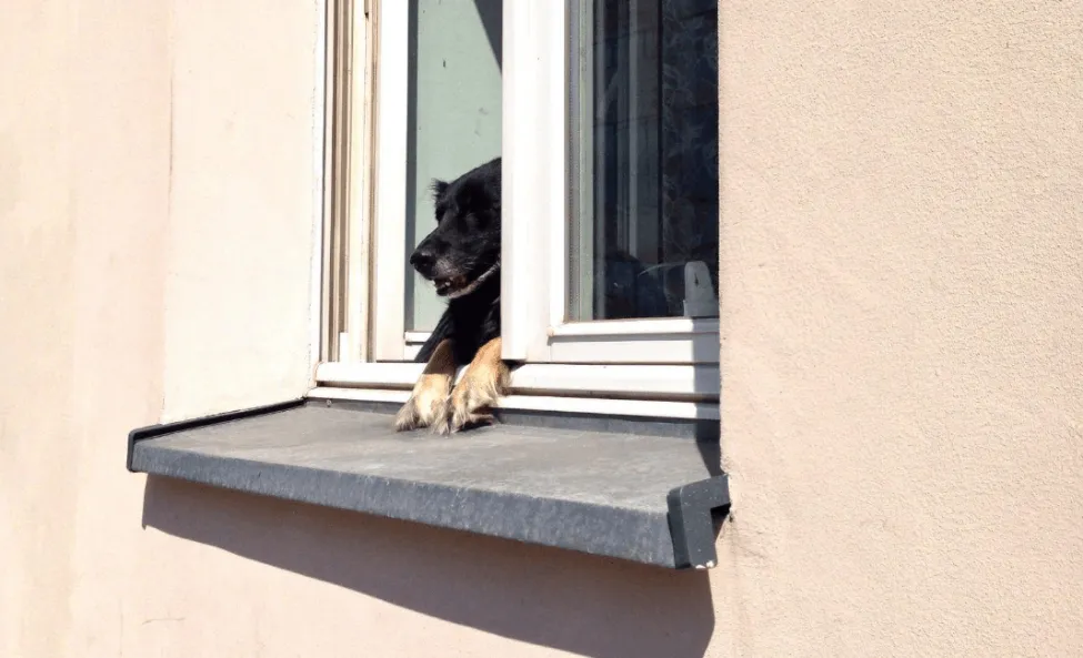 Металлические отливы