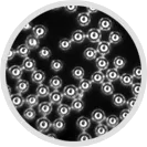 silver-glass.png